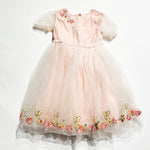 Bleuberi Dress 5T|207119