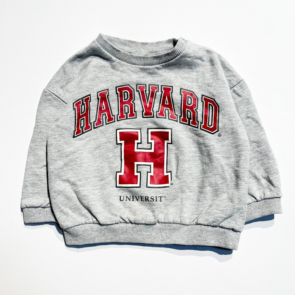 H&M Sweatshirt 18-24M|188941