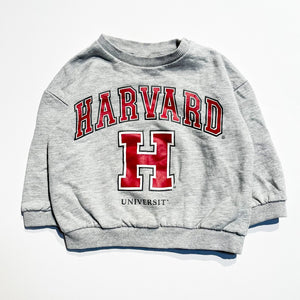 H&M Sweatshirt 18-24M|188941