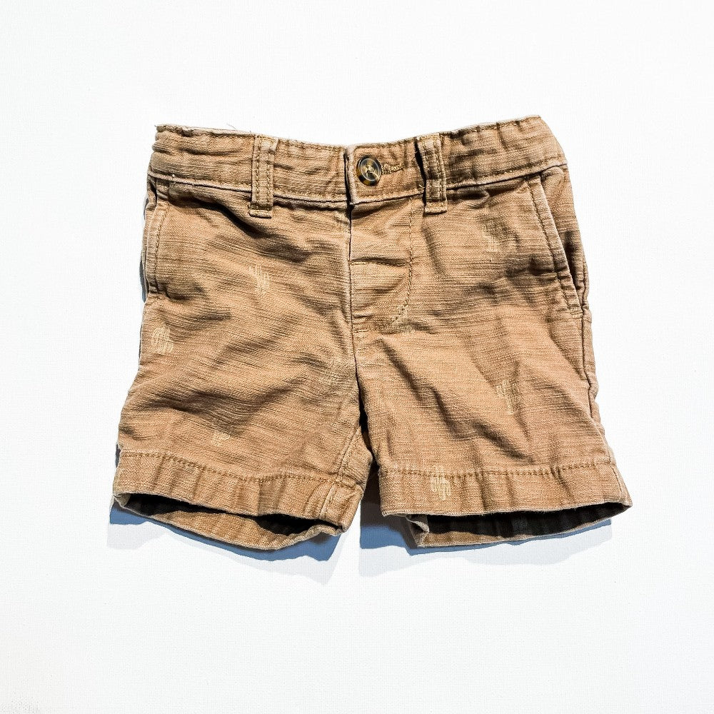 Carters Shorts 12M|195008