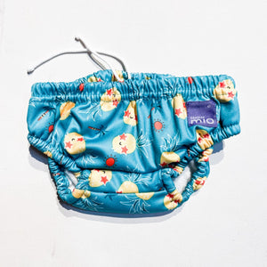Swim Diaper (16-21lbs)|143779