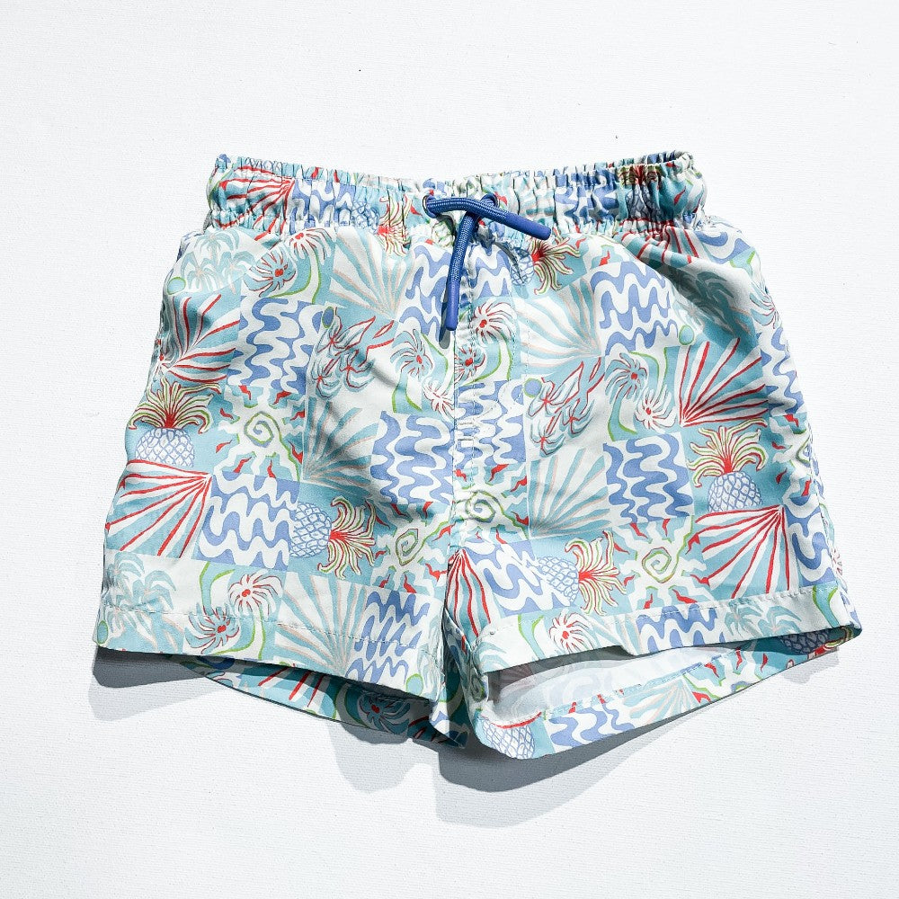 Zara Swim Shorts 4Y|229166