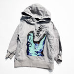 H&M Hoodie 4-6Y|202996