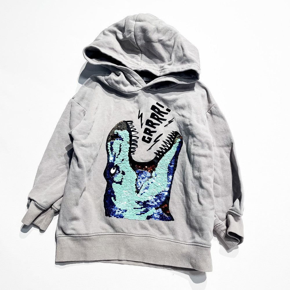 H&M Hoodie 4-6Y|202996