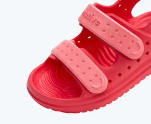 Native - Chase Little Kids -  Popsicle Pink/ Flamingo Pink|202548