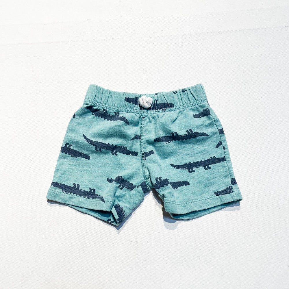 Carters Shorts 12M|164732