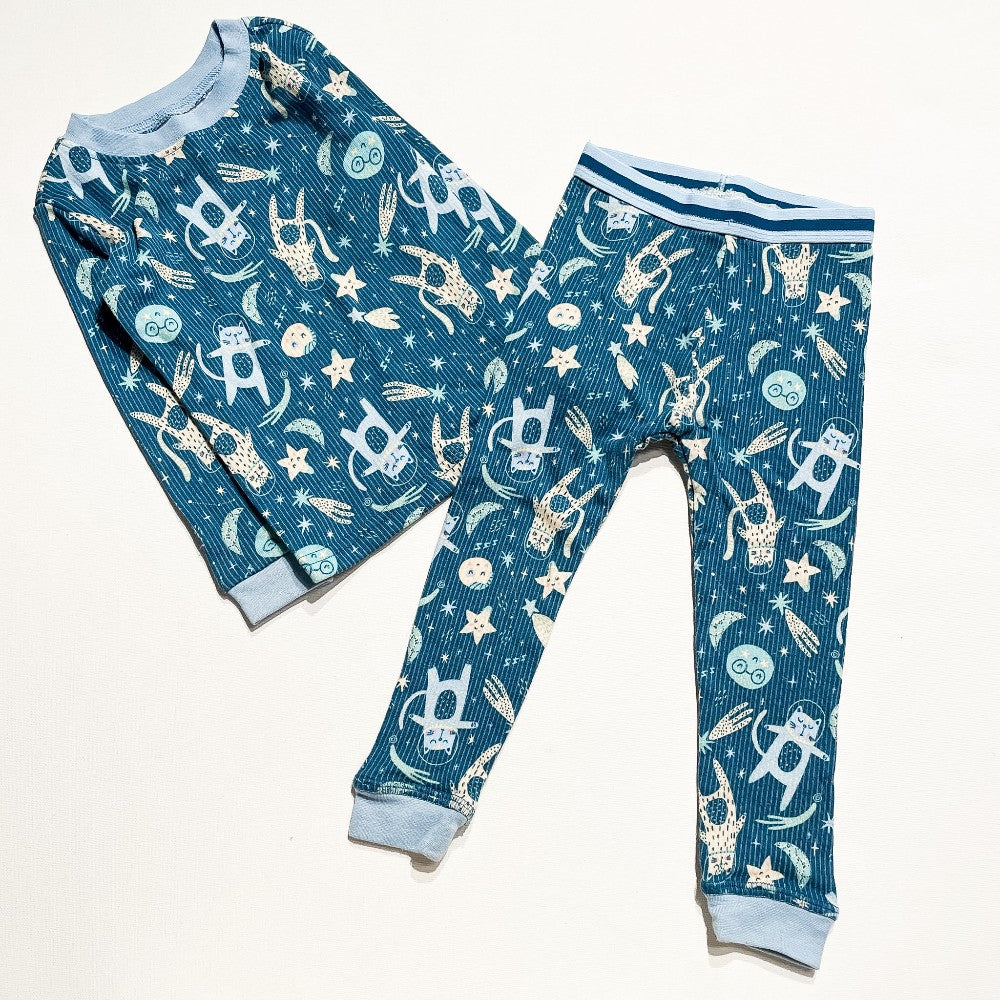 Little Watson Pajama Set 3Y **NWT|233159