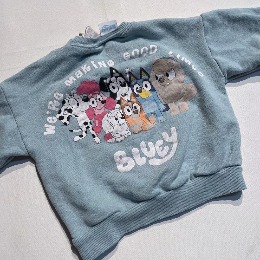 Zara Sweatshirt 5-6Y **Imperfection|139967