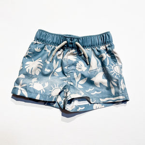 Carters Shorts 6M|190392