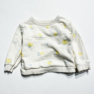 Carters Sweatshirt 9M|199010
