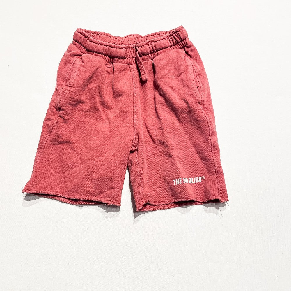 Zara Shorts 6Y|219875