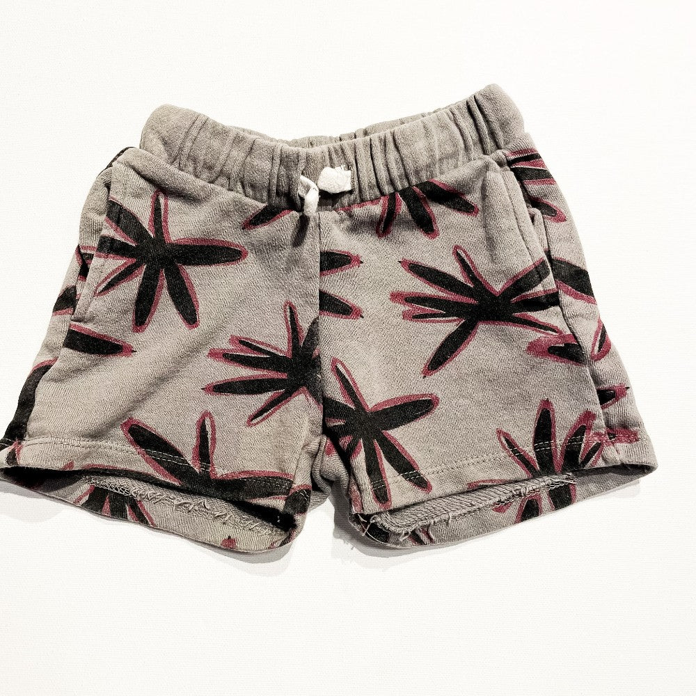 Zara Shorts 2-3Y|216591