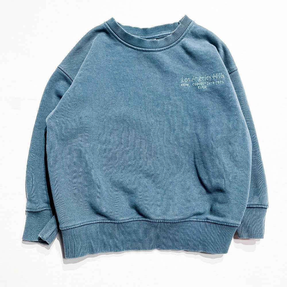 Zara Sweatshirt 5Y|220619