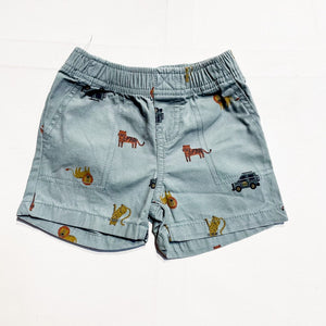 Carters Shorts 9M|154363