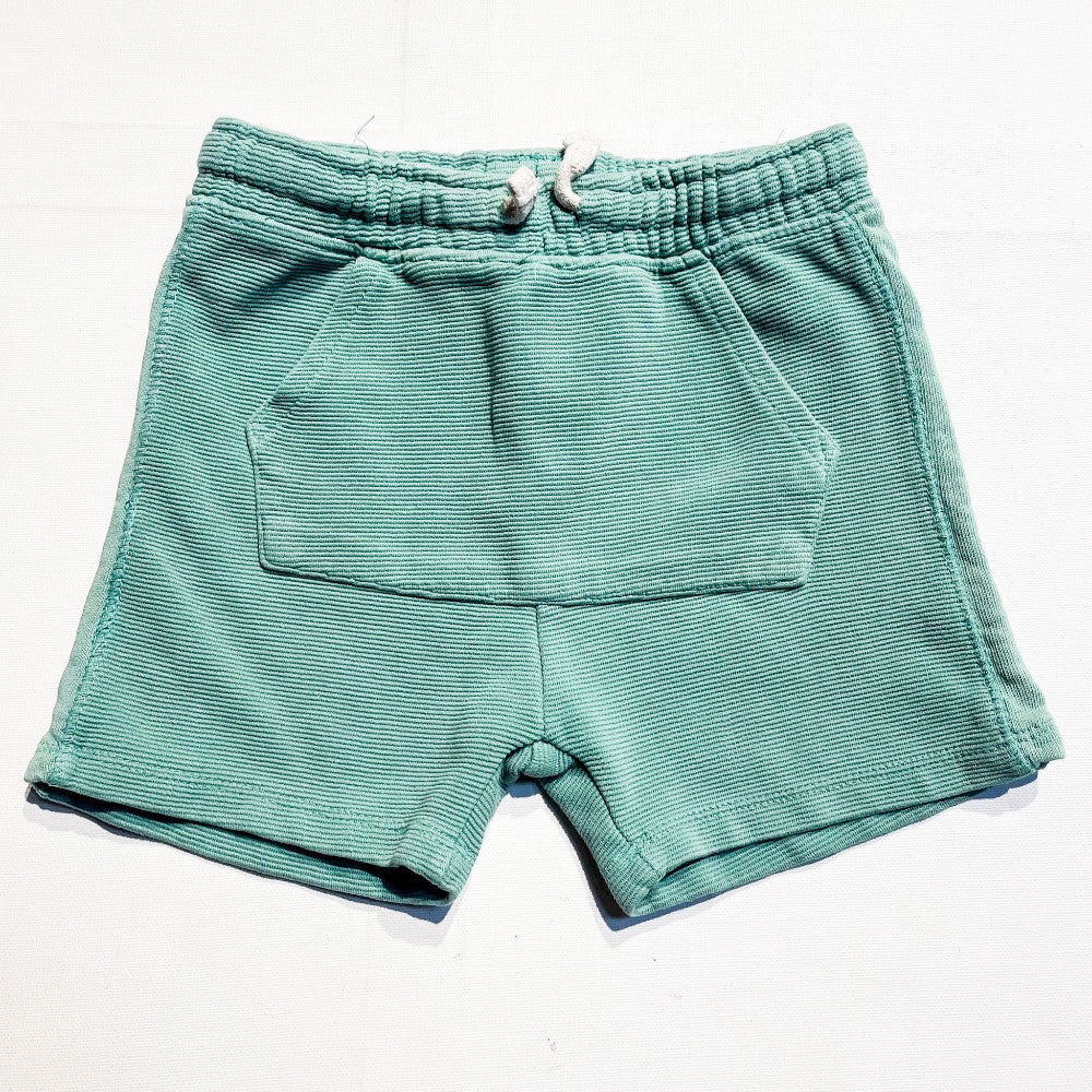 Zara Shorts 4/5Y|175287