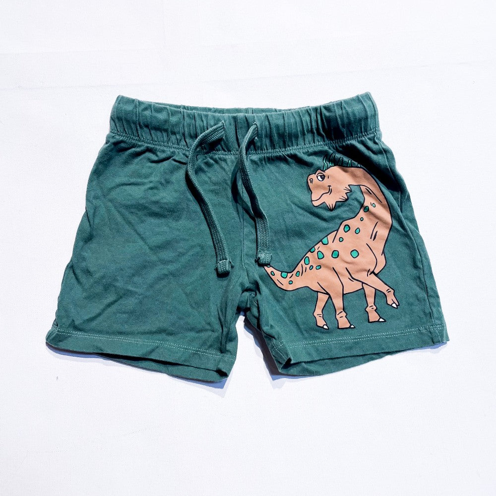 H&M Shorts 2-3T|118955