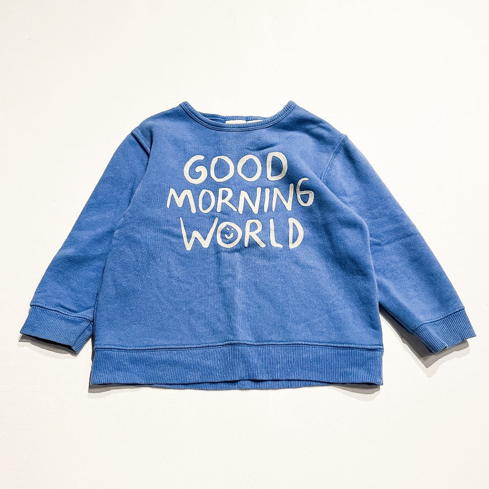 Zara Sweater 2-3Y|232548