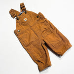 Carhartt Overalls 3M|227486