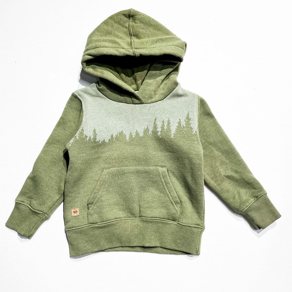 Tentree Hoodie 12-18M|211174