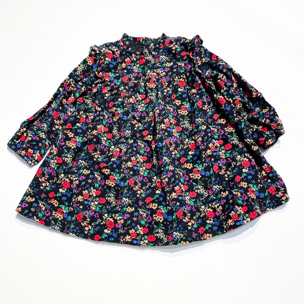 Gap Dress 2Y|192601