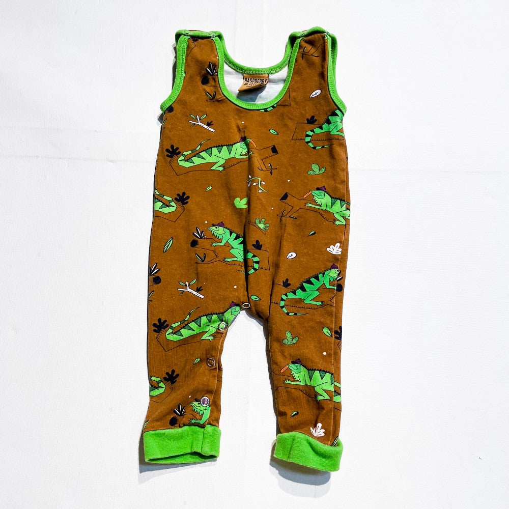 Rasberry Romper 4-9M|183726