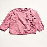 Zara Sweatshirt 2-3Y|217747