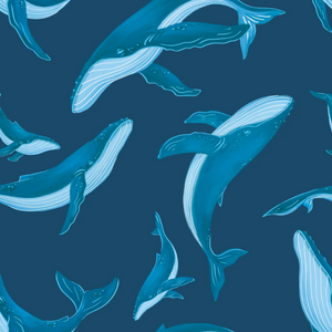 Honeysuckle - Rashguard Shirt - All Is Whale|136547