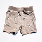 Miles Shorts 12M|172103