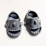 Shark Shoes 6-7|150231