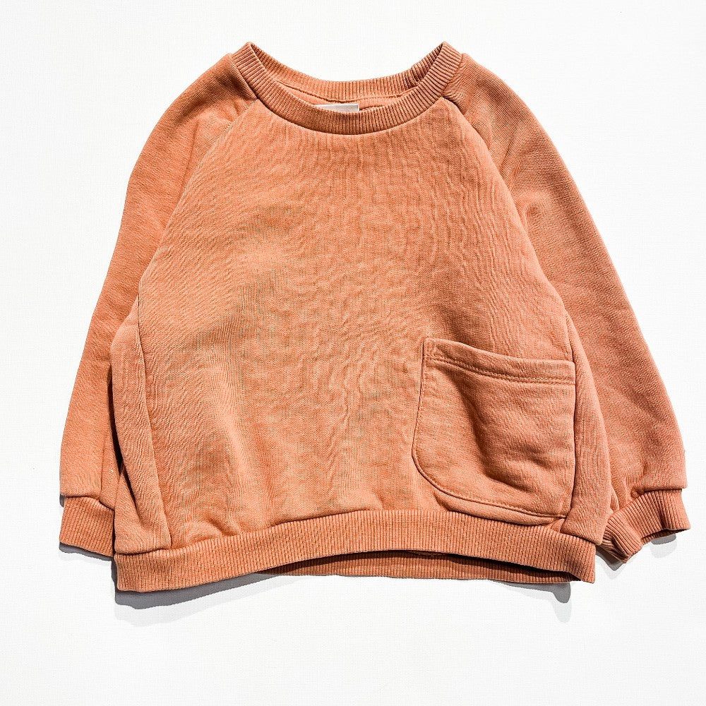 H&M Sweatshirt 18-24M|227197