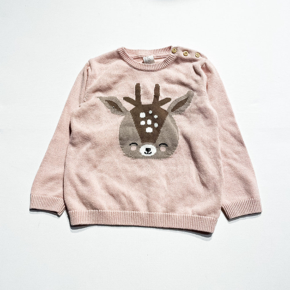 H&M Sweater 3-4Y|233719