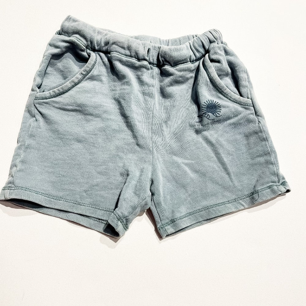 Zara Shorts 2-3Y|211552