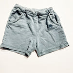 Zara Shorts 2-3Y|211552