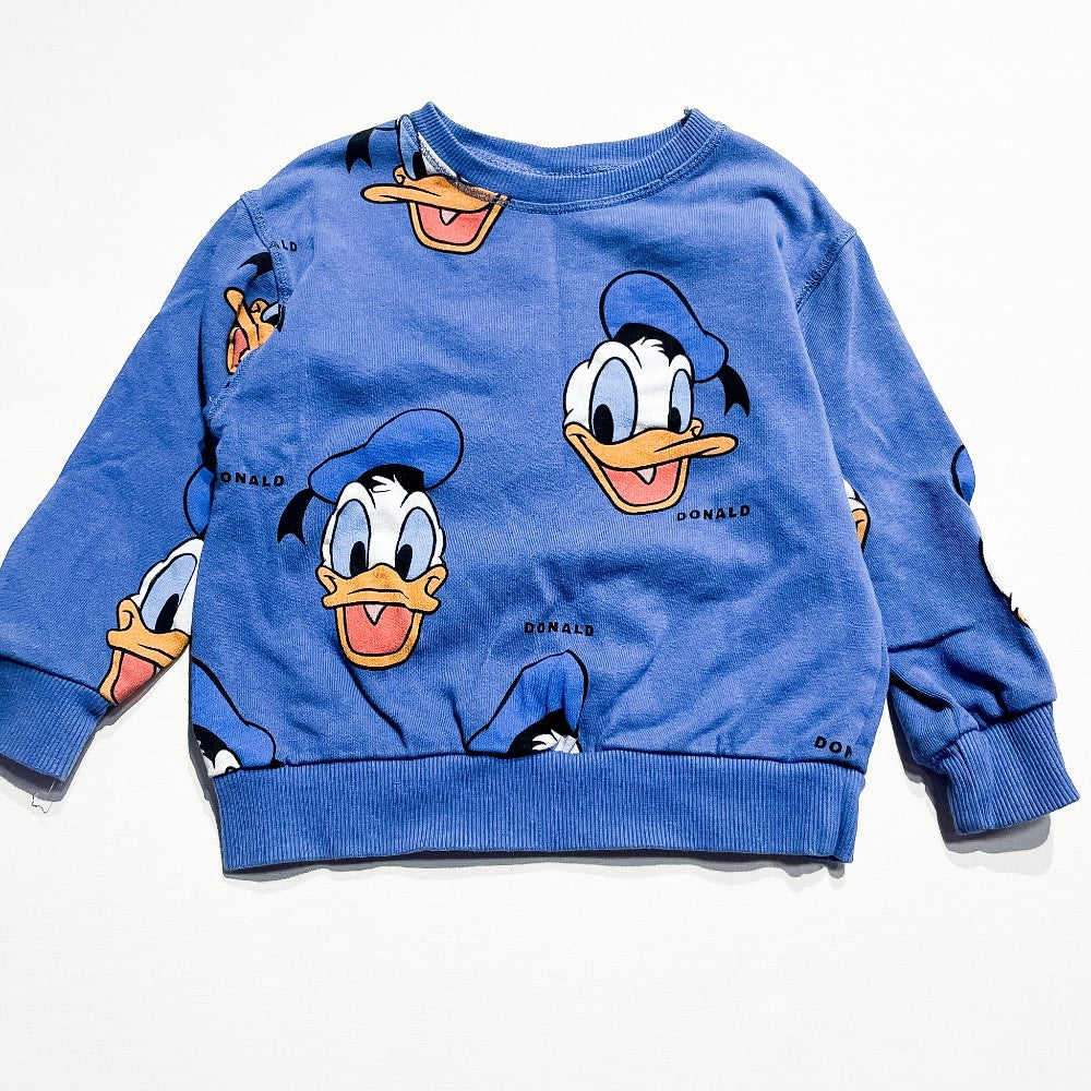 Zara Sweatshirt 2-3Y|214621