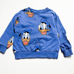 Zara Sweatshirt 2-3Y|214621