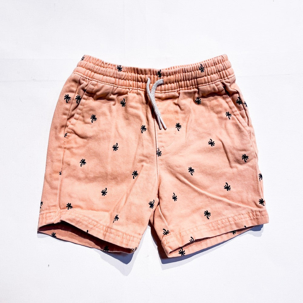 Old Navy Shorts 2T|118949