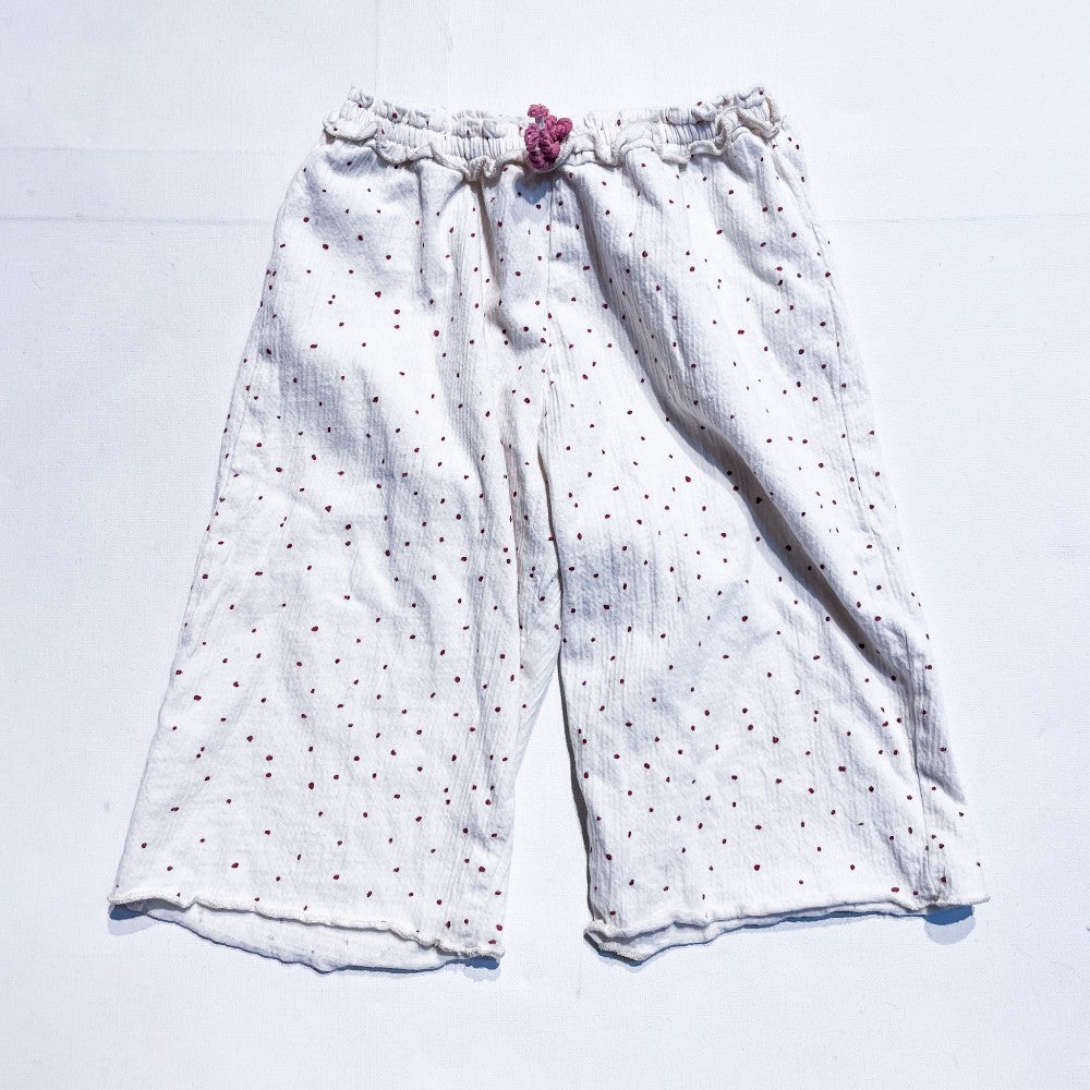 Zara Pants 2/3Y|172174