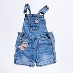 Hudson Overalls 12M|157652