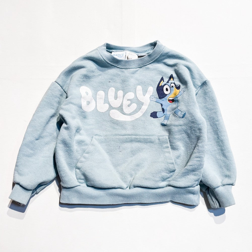 Zara Sweatshirt 5-6Y **Imperfection|139968