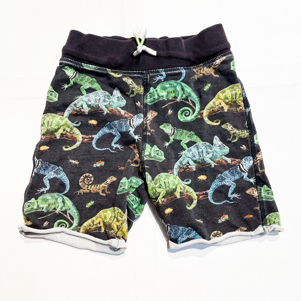 H&M Shorts 5Y|161200