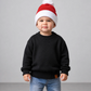 Little Bipsy - Santa Beanie|226282