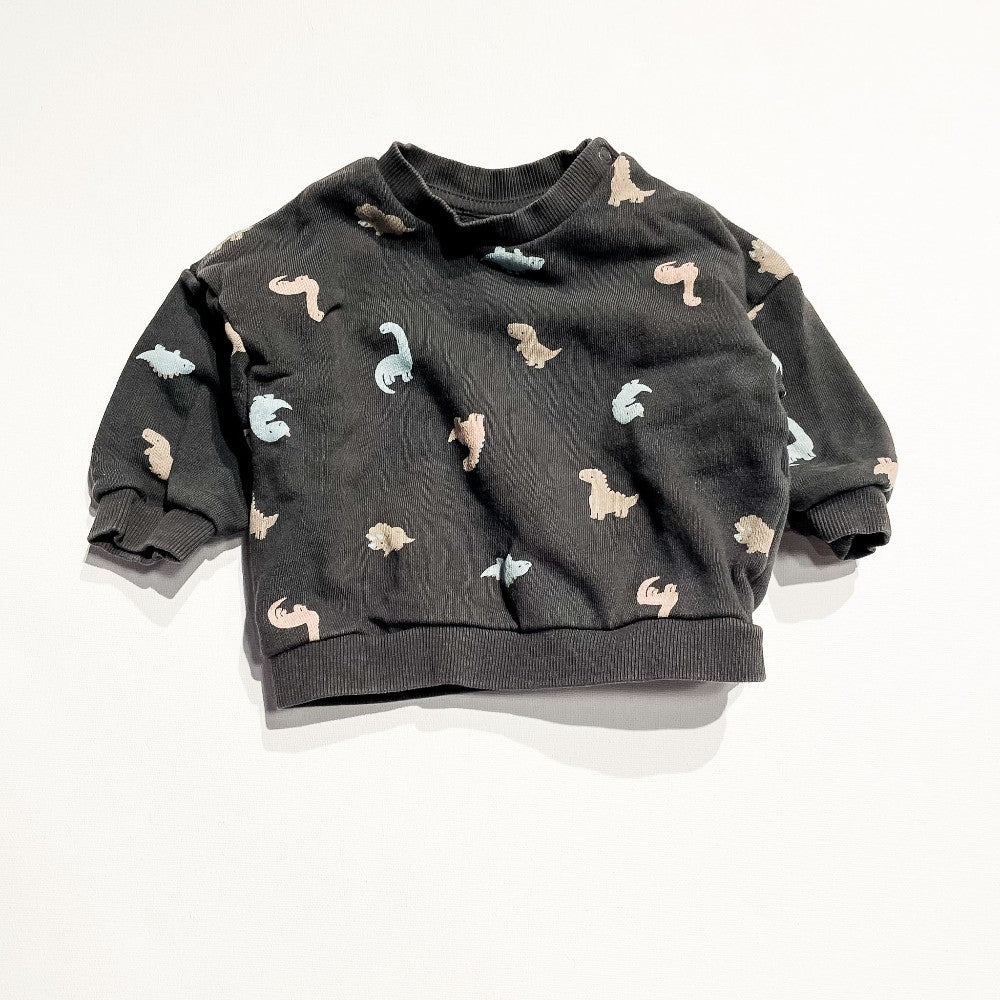 H&m Sweatshirt 4-6M|216649