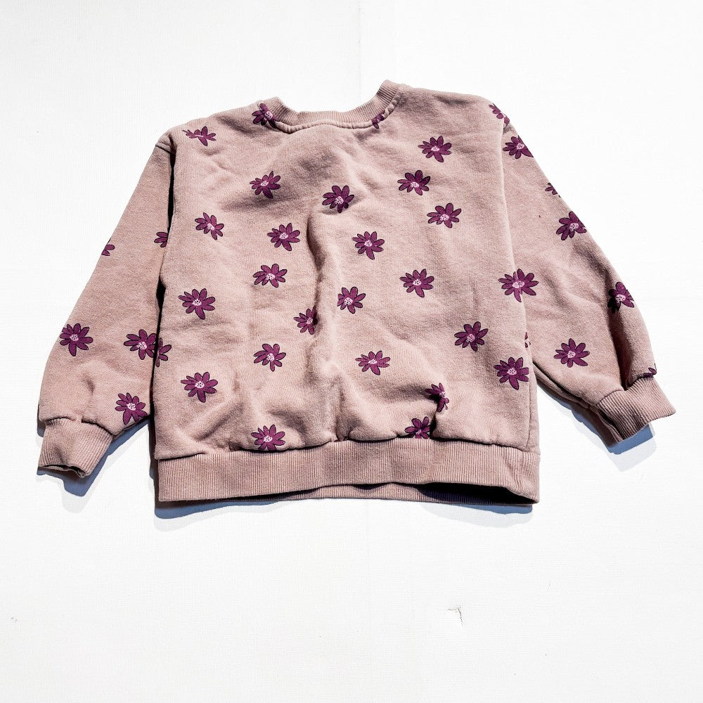 Zara Sweatshirt 3-4Y|174676