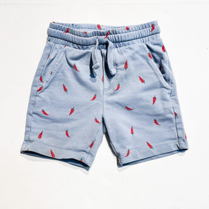Miles Shorts 2Y|171995