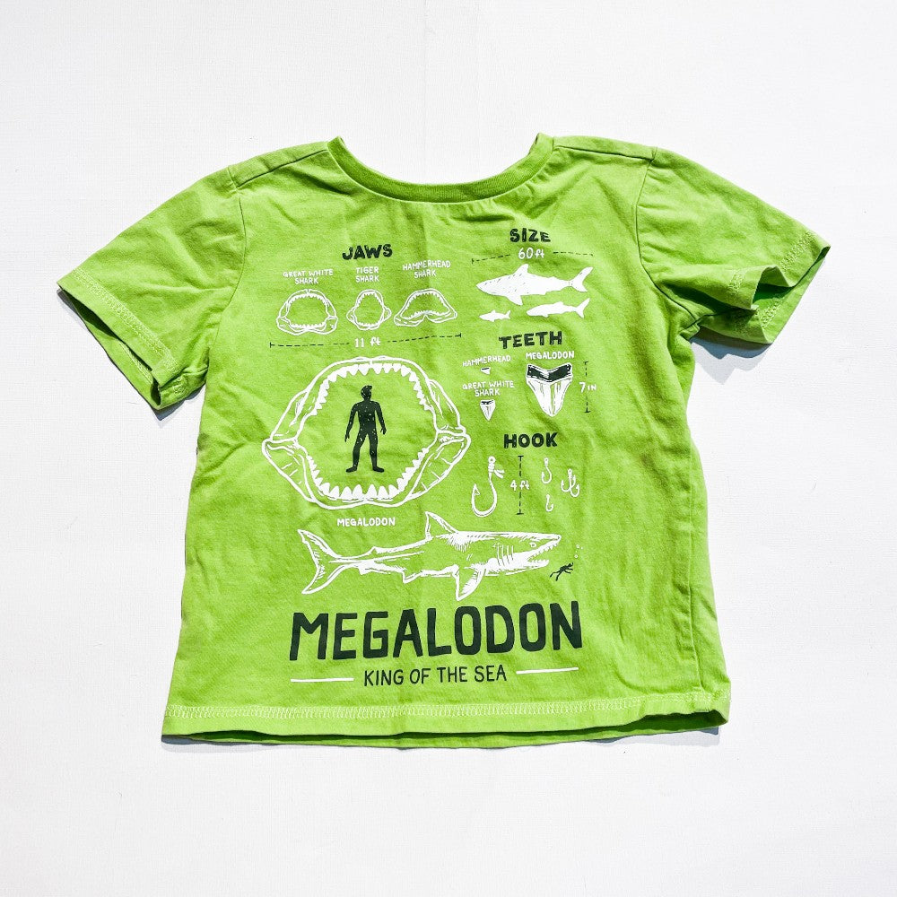 Hatley Shirt 3Y|131399