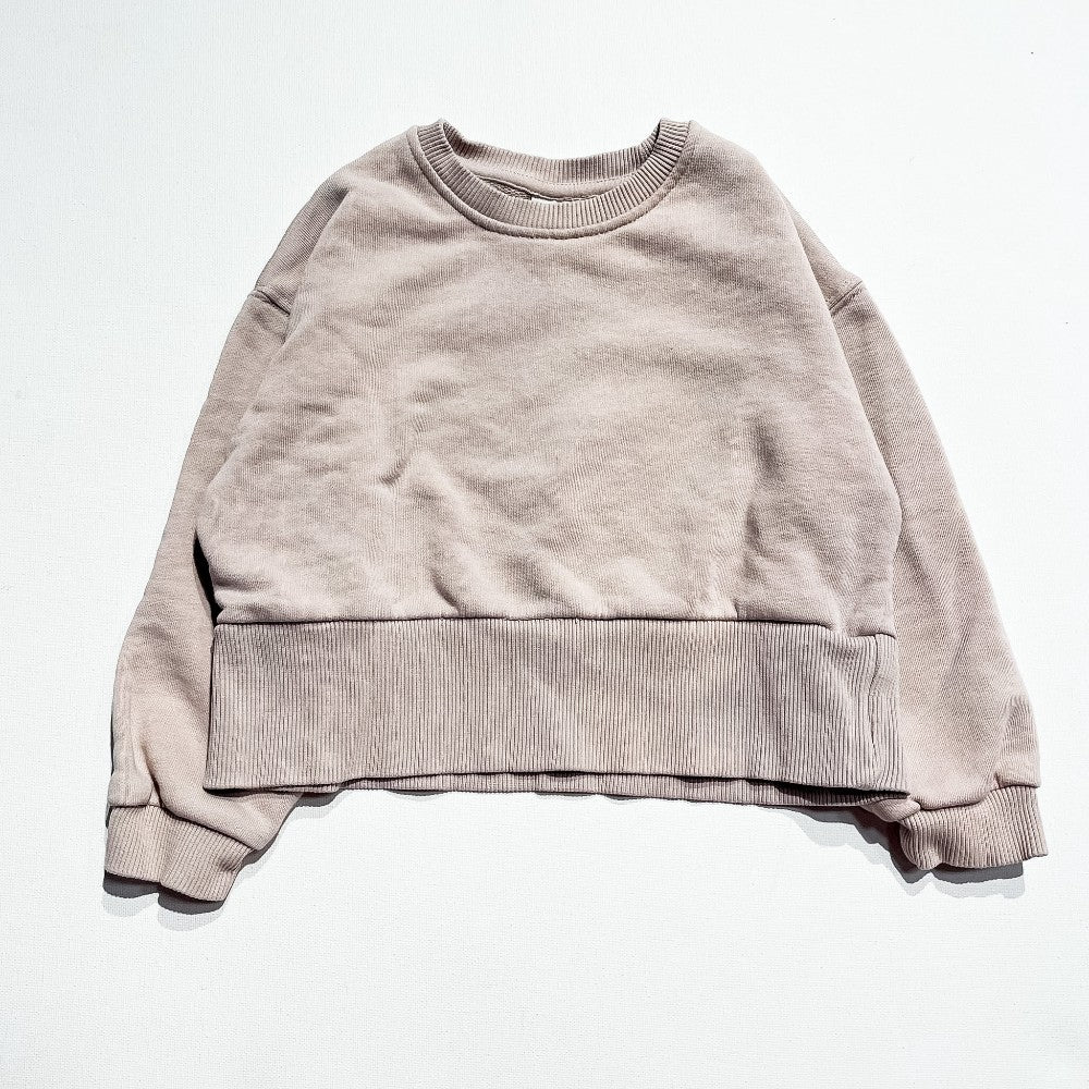 Zara Sweatshirt 3-4Y|223531
