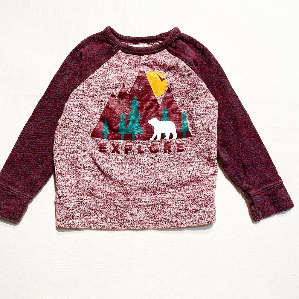 Old Navy Shirt 4Y|173131