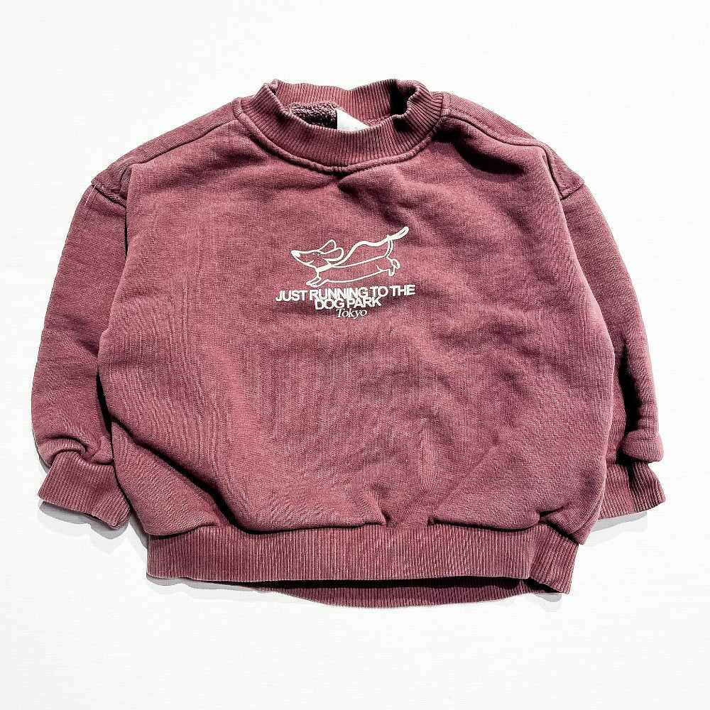 Zara Sweatshirt 3Y|222573