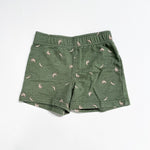 Carter's Shorts 2T|234732