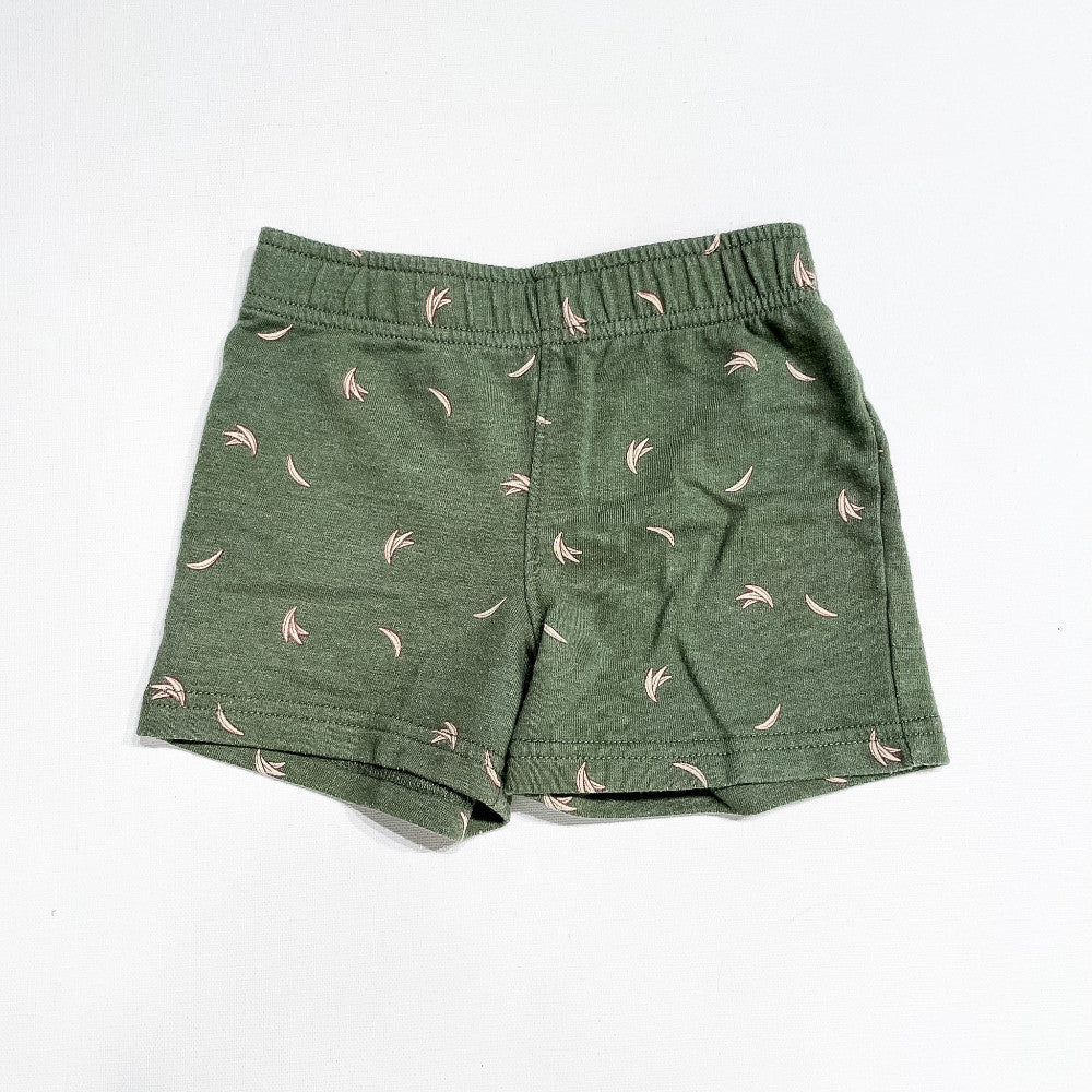 Carter's Shorts 2T|234732